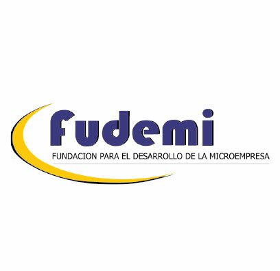 Fundación para el Desarrollo de la Microempresa (FUDEMI) Fundación para el Desarrollo de la Microempresa (FUDEMI)
